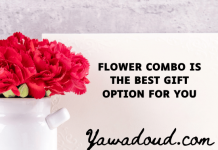 Flower Combo Gift Options