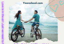 Online Matrimonial Sites-Feature Image: A new couple is cycling with keep each other hands with love