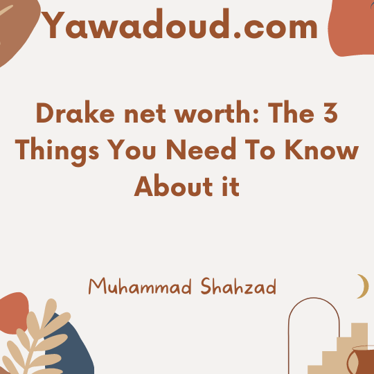Drake net worth: The 3 Things You Need To Know About it